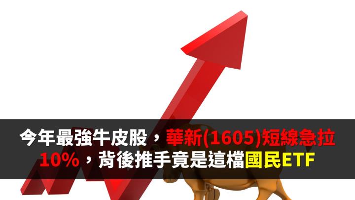華新麗華