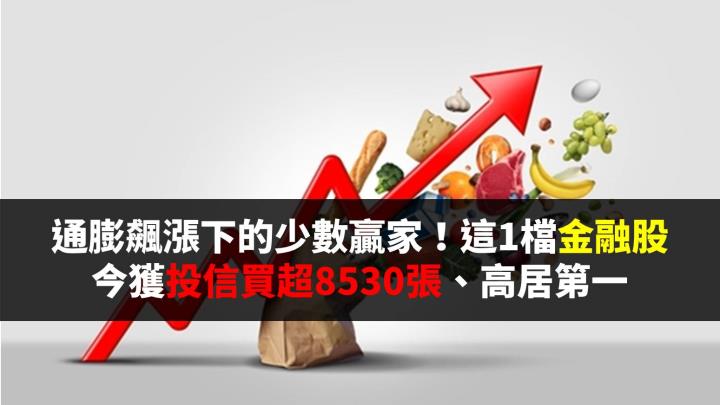 通膨飆漲下的少數贏家！這1檔金融股今獲投信大買8530張、高居第一