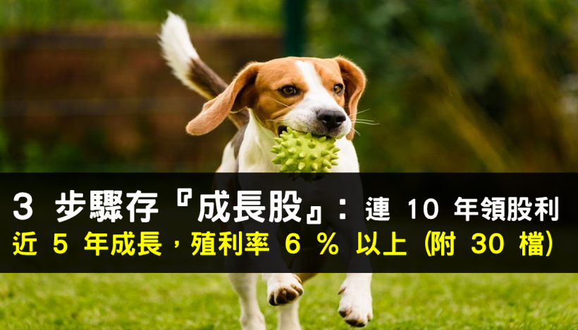 存『成長股』，連 10 年發股利，連 5 年成長，且殖利率 6 ％ 