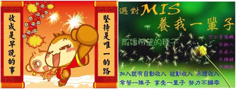 MIS網路自動收入系統- MIS 簡介