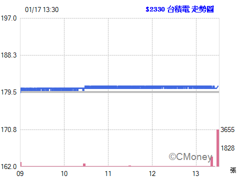 2017.01.17 以 181.00元  委託融資買進 2330台積電 1張
