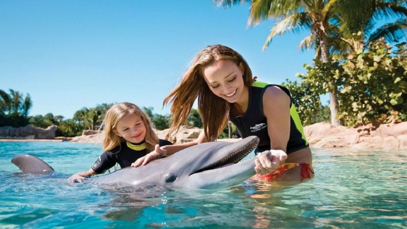 原來...市場上 95％ 贏家，只做到「這件事」， 連 22K 小資族也能月領 50K！