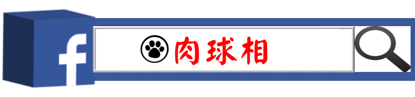 金融業年終 7 連霸?!低量台股抨擊證券業,「號子 + 咖啡廳」恐成真...