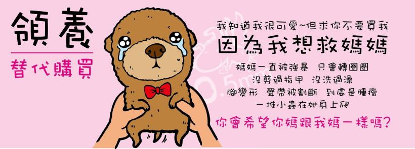  謝閔堯 擺攤一天只賺200，只好乖乖上班領 22K..沒想到他竟做這件事，讓花媽陳菊都找他下訂單！