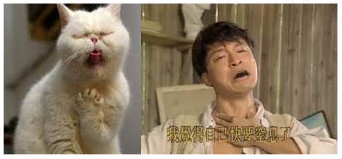 抱股過年?封關前幫你找出獲利王!