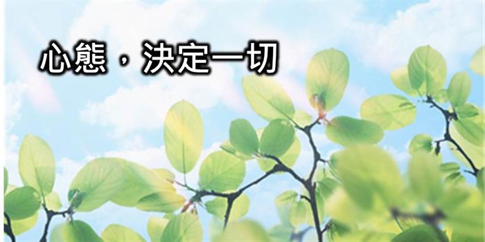 2-4 進場前,先想好會賠多少(設定好風險承受度)