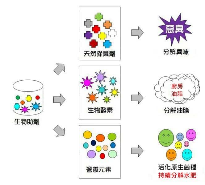 蟑螂