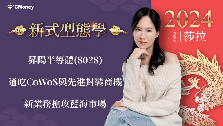 昇陽半導體(8028)通吃CoWoS與先進封裝商機，新業務搶攻藍海市場