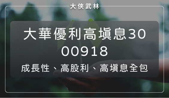 不只高股利還要高填息！大華優利高填息30(00918)今年累計漲幅 50％，績效更勝大盤與 00878？