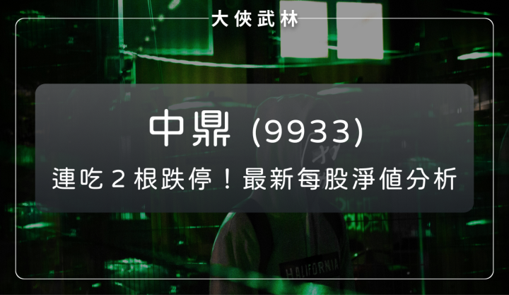 中鼎(9933)美國投資踩雷，連吞 2 根跌停！最新每股淨值分析報告