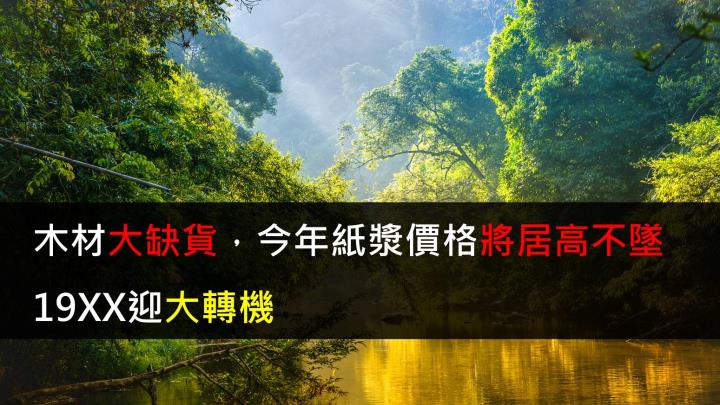 【研究報告】木材大缺貨,2021全年紙漿價格將居高不墜,19XX迎大轉機