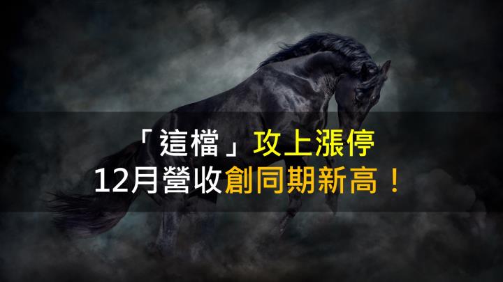 「這檔」攻上漲停,12月營收創高!