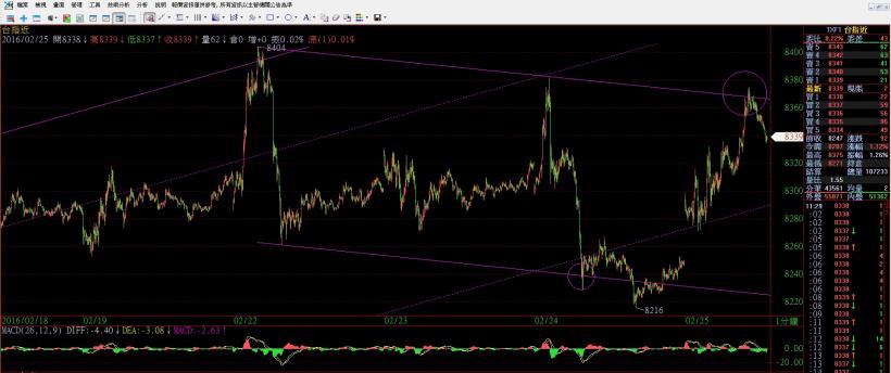 2016/2/25 (四) 看盤