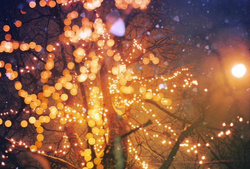 獨一無二的聖誕甜點，獻給你的「唯一」！來做「提拉米蘇」吧～