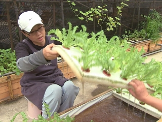 李佳璇，腦癌開刀後，竟然不願好好休養，只為飛到夏威夷學「這個」...六個月後的奇蹟 連醫生都傻眼了！