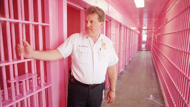 「粉紅色牢房效應」用真實的實驗告訴你，掌握這3大力量，讓你總是能突破自己，成功的比別人快！