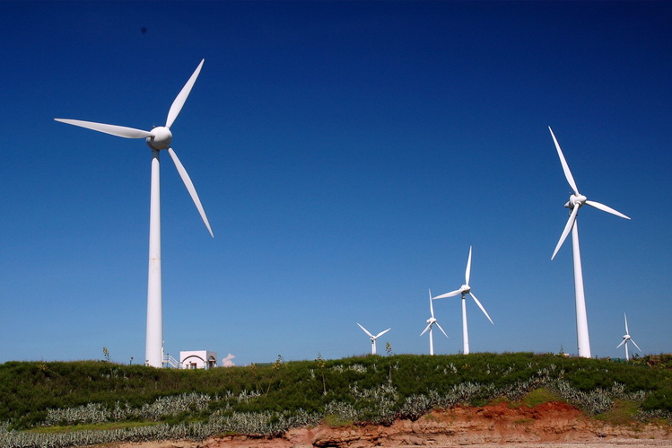 台電子公司的台汽電(8926)，年年配息、平均盈餘分配律在84％以上，不過要注意的是這2項政策風險！