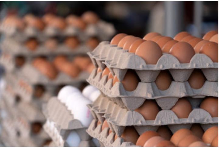 受高通膨、全球禽流感、缺雞蛋的衝擊下，台灣飼料肉品大廠-卜蜂(1215) 是否還能買進？