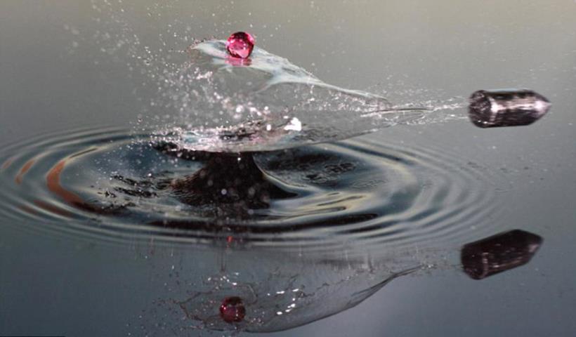 台股人氣退潮、散戶跑光了？菜籃族-萍小姐 3 個月 獲利 竟高達 『88％』！她是這麼做的...