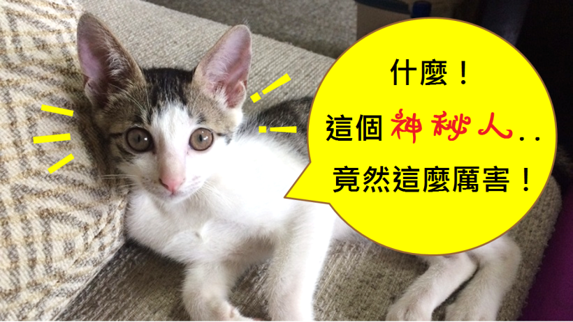 【小心神秘人】投資時看到「他們」，一定要趕快跑..連大公司，都一夜大跌 5％！真可怕...