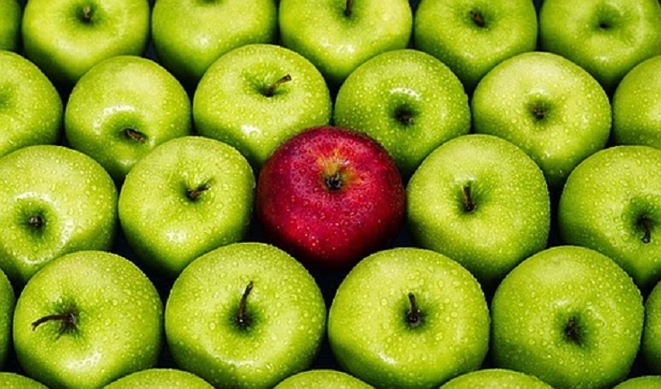 別以為理專的話都能信!基金公司就是這樣賺你的錢...搞懂這「5 項」問題,你也能穩定獲利!