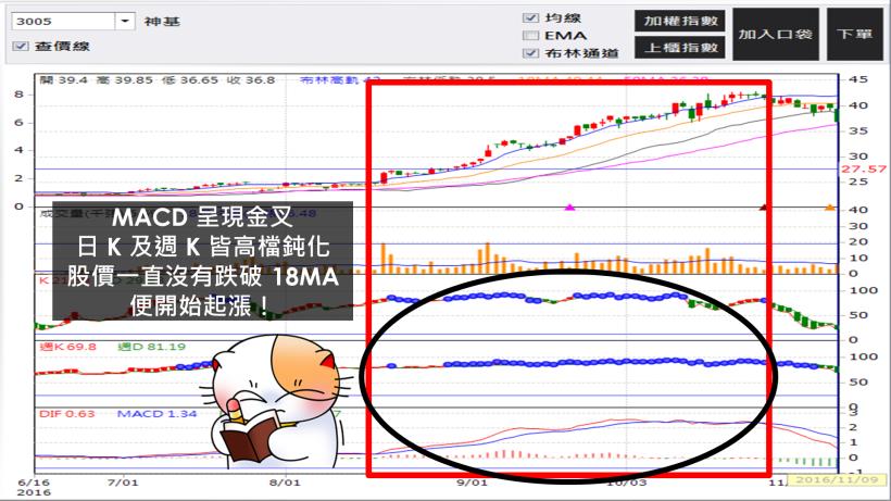 買對飆股不求人！只看「雙線 1 指標」，台積電也能賺在波段高點
