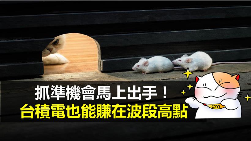 買對飆股不求人！只看「雙線 1 指標」，台積電也能賺在波段高點