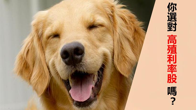 7、8 月除權息，大家都搶「高殖利率股」... 但這 2 個訣竅，才是賺錢關鍵！短短幾天 利息賺飽飽