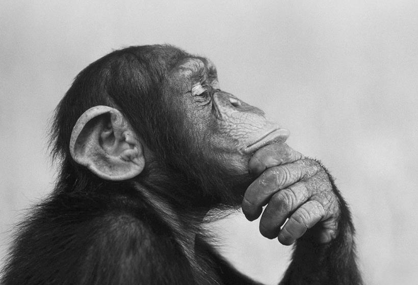 爸爸罹癌保險卻沒賠！原來是因為__。掌握1個原則，讓你從此不再買錯保險！