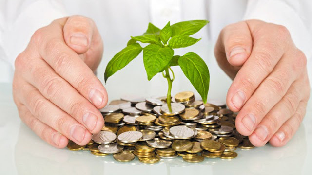 小額投資基金如何選？記住「 5 順序、2 重點」簡單入門挑選好基金