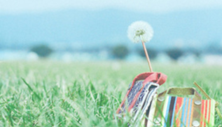 5-2 配合型態,找出機會