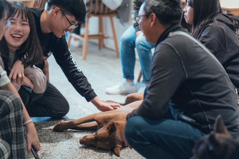 讓我陪你等家