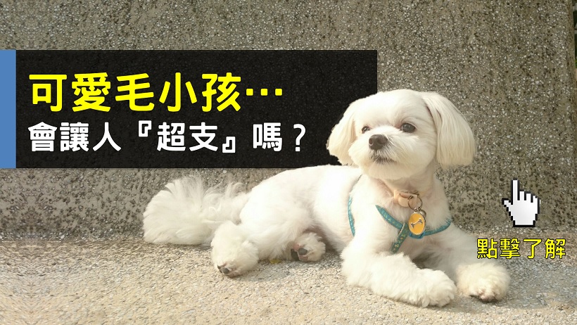 月收 45000 小資女，每月花費竟高達 30000！？原來錢都流去「這些地方」...