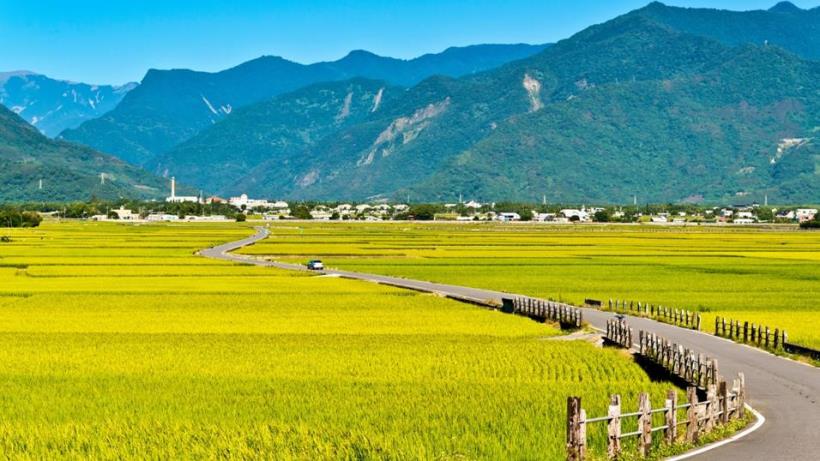 電信三雄-遠傳(4904)，近六年連年配息 3.75 元，「連續 20 年配發股利」的存股族好朋友