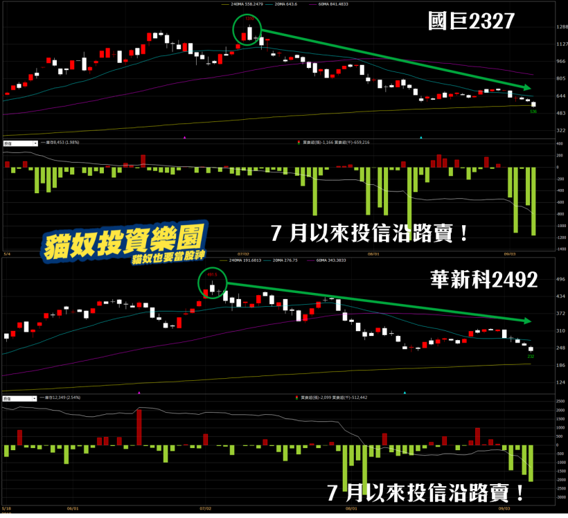 年底有「選舉行情」嗎？選前 X 日上漲機率高達 100％，『台股與選舉』關鍵報告，必看！