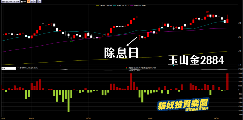 年底有「選舉行情」嗎？選前 X 日上漲機率高達 100％，『台股與選舉』關鍵報告，必看！