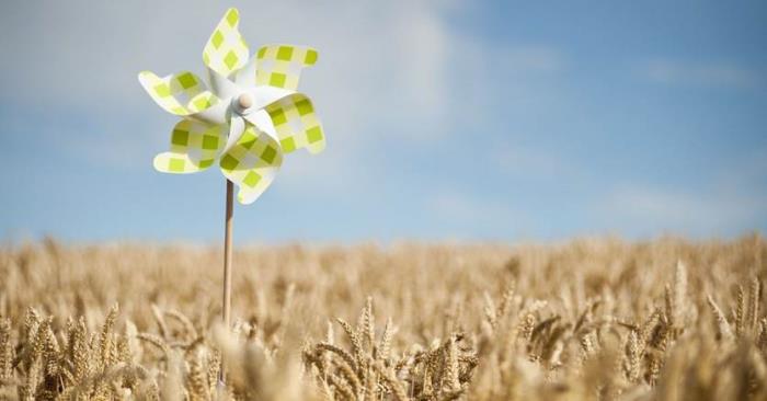 什麼是「賣權多頭價差」 ?