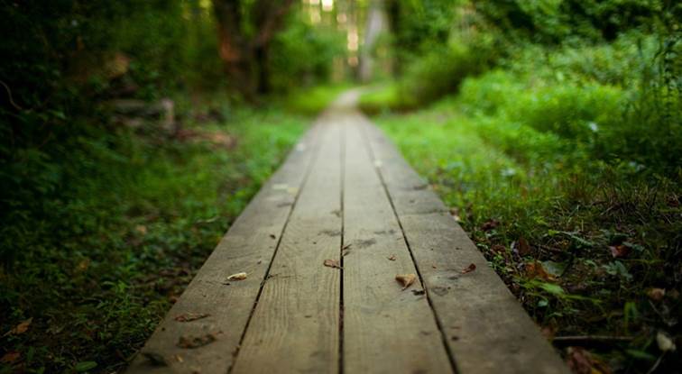 現在是外資盤 還是 主力盤？