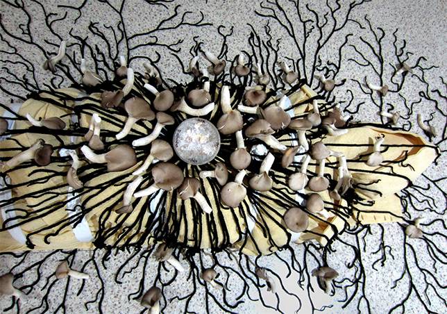 南韓藝術家李宰潤：「讓蘑菇，把你吃掉！」環保終極境界，別死後還危害世界！這「東西」..世界正流行！