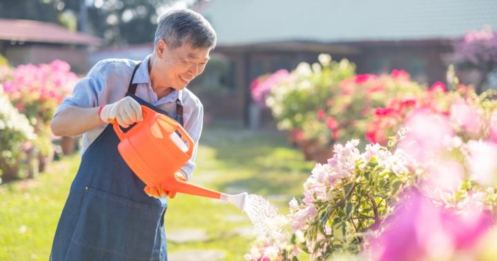 《封面故事》光靠勞保、勞退撐不到80歲 4重點完善財務自由計劃，提早退休又樂活