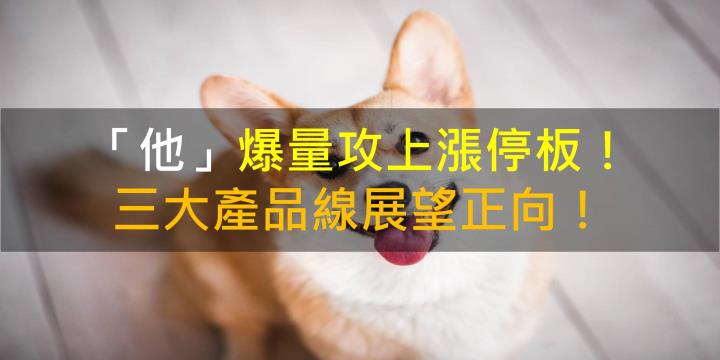 【籌碼K晨報】「他」爆量攻上漲停板！三大產品線展望正向！