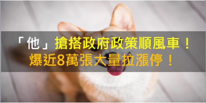 【籌碼K晨報】「他」搶搭政府政策順風車，爆近8萬張大量拉漲停！