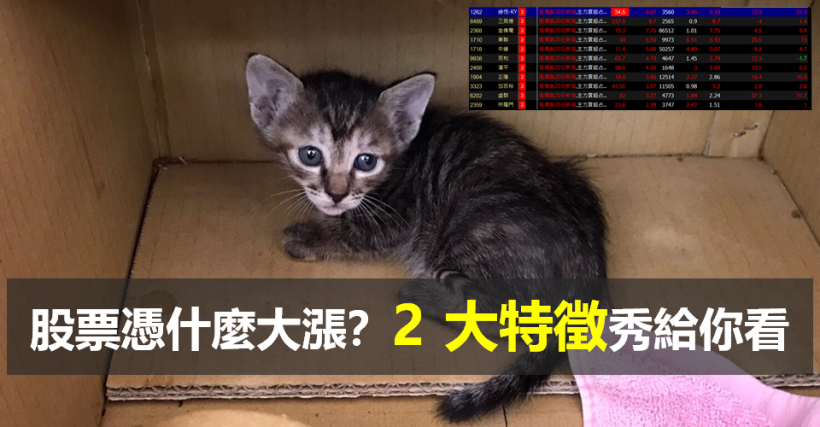 「2 大特徵」告訴你，承啟(2425)憑什麼連漲 8 天...快來打包 11 檔『籌碼相似股』！