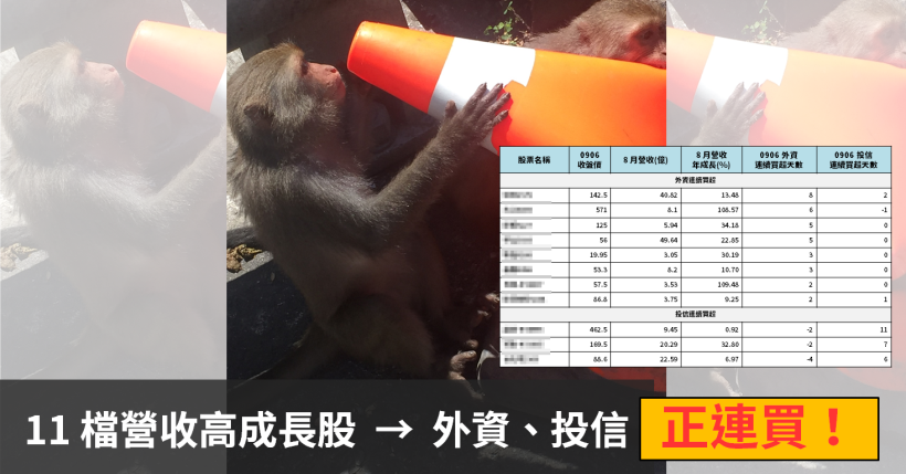 8 月營收公布期，11 檔「營收高成長」→ 外資、投信連買中！