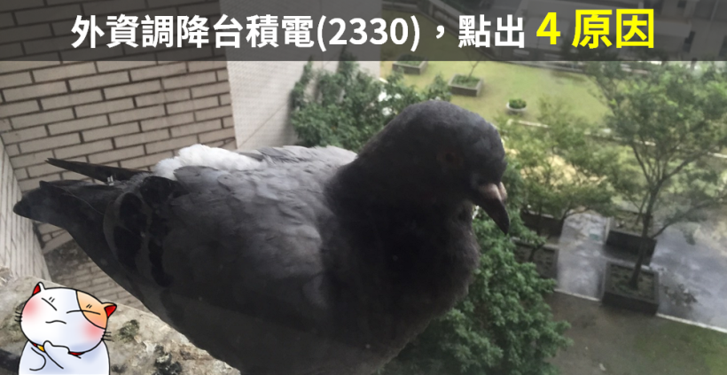 飆漲 249 點背後的疑慮..台積電(2330)又遭降評，外資示警：「4 原因」恐釀危機！
