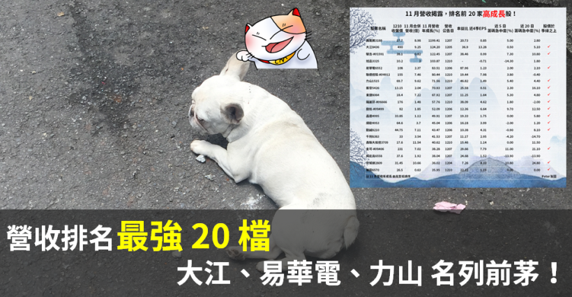 11 月營收「排名最強 20 檔」：年增達 10 倍！大江、易華電、力山 也名列前茅