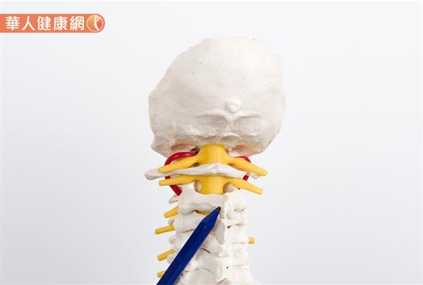 5 種專家認為超不健康的「常見睡覺姿勢」，原來 腰酸背痛 都是錯誤睡覺方式害的啊！