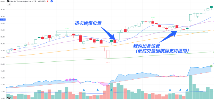 PLTR：華爾街十倍傳奇！Rich是如何在上漲前把握到？