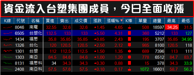 台塑化(6505) 豪氣創「歷史新高」！集團 8 強全面上攻，股民 : 怎連大象都比蘋概會漲？