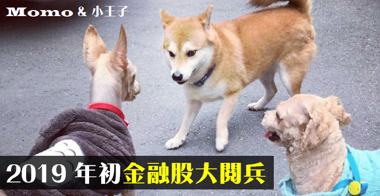 2019 金融股大閱兵！兆豐金(2886)、上海商銀(5876) 超抗跌，關鍵原因是..